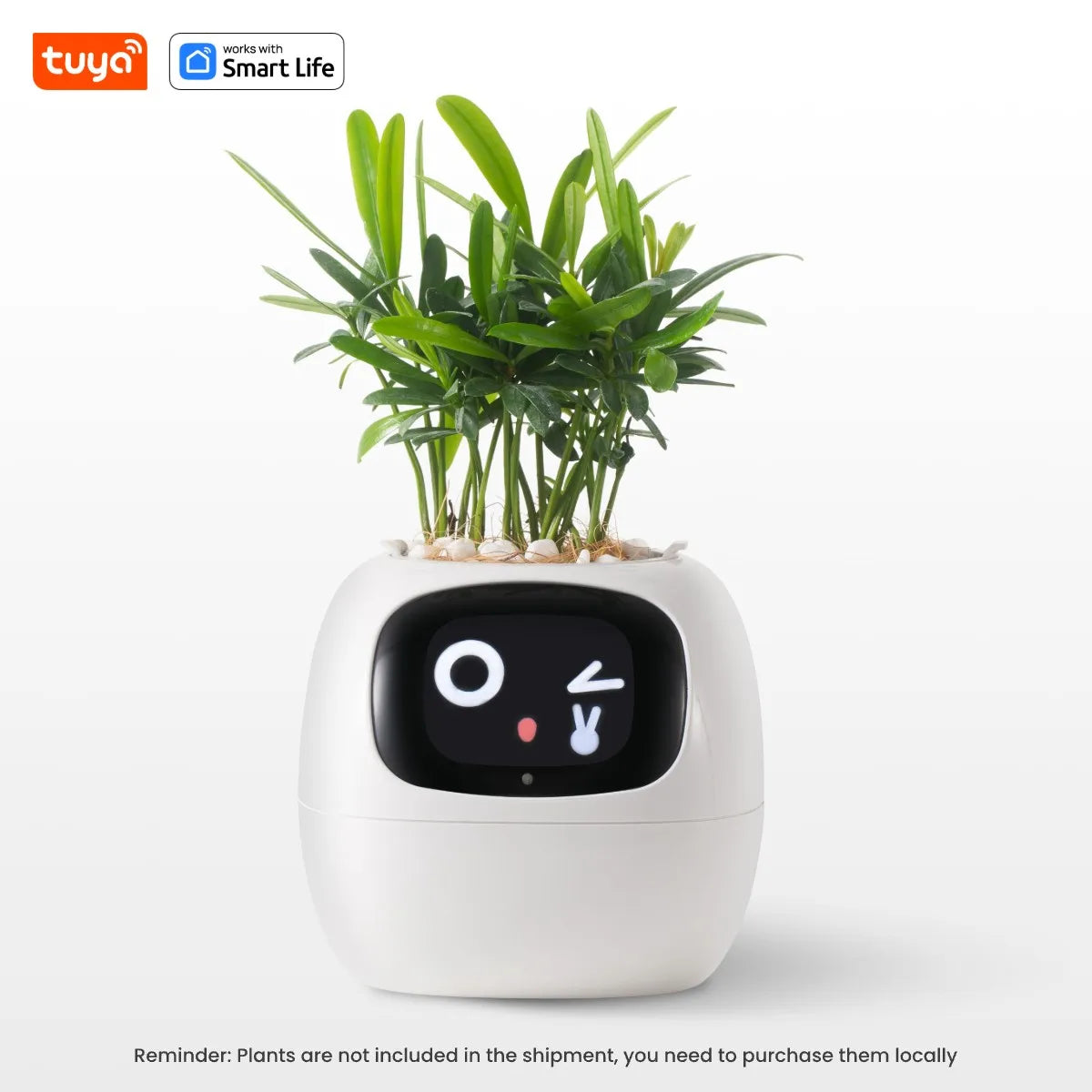 Transform Your Plant Care with the Tuya Ivy Smart Planter: 49+ Expressions, 7 Smart Sensors, and AI Technology for Effortless Gardening Fun