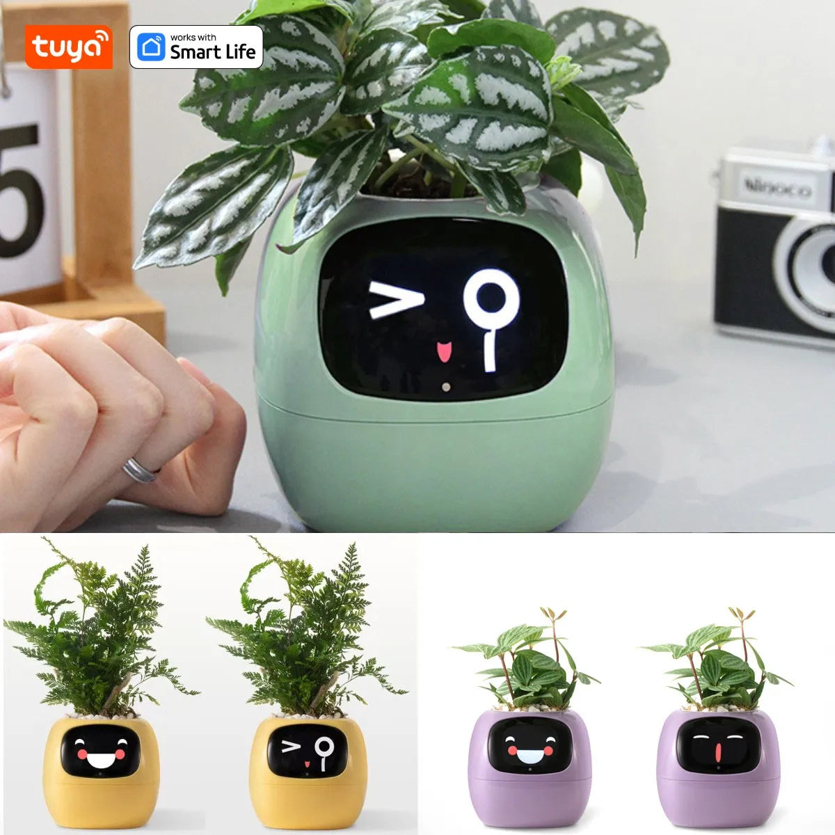 Transform Your Plant Care with the Tuya Ivy Smart Planter: 49+ Expressions, 7 Smart Sensors, and AI Technology for Effortless Gardening Fun