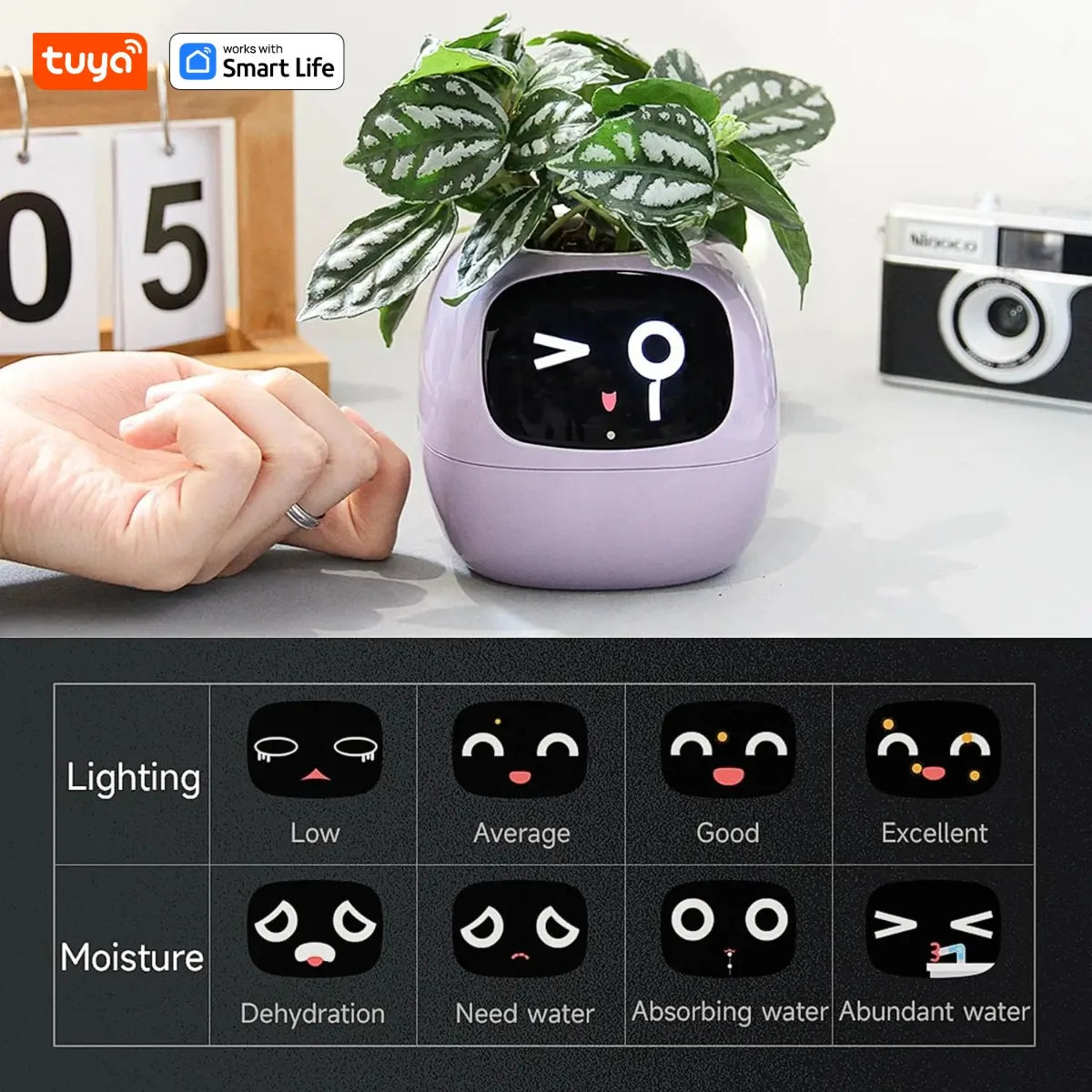 Transform Your Plant Care with the Tuya Ivy Smart Planter: 49+ Expressions, 7 Smart Sensors, and AI Technology for Effortless Gardening Fun